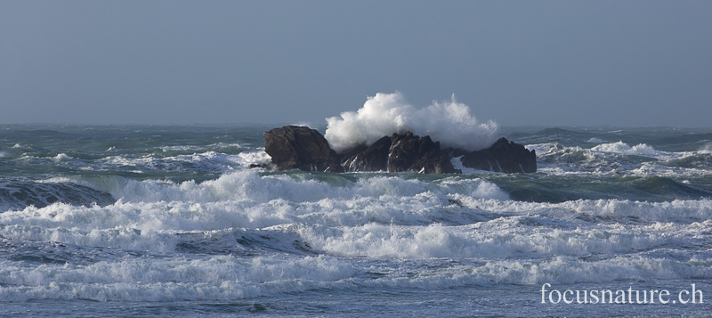 _MG_0079.jpg - L'océan vu de la Baie des Trépassés (Finistère, 5.2.2014)