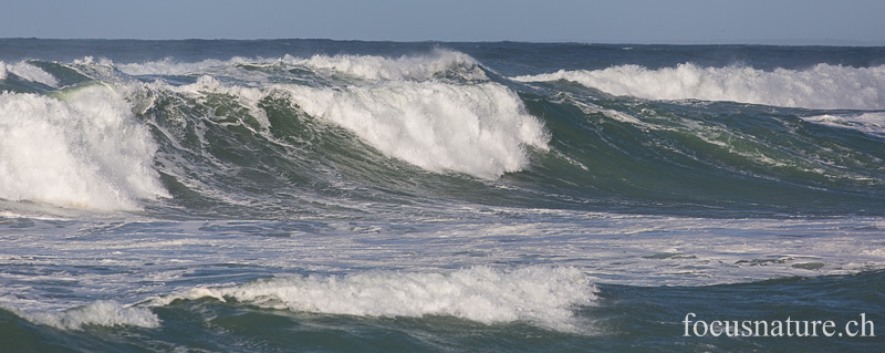 _MG_0484.jpg - Pointe de la Torche (Finistère, 7.2.2014)