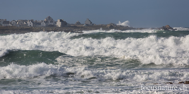 _MG_0497.jpg - Pointe de la Torche (Finistère, 7.2.2014)