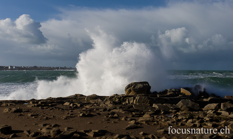 _MG_0899.jpg - Pointe de la Torche (Finistère, 7.2.2014)