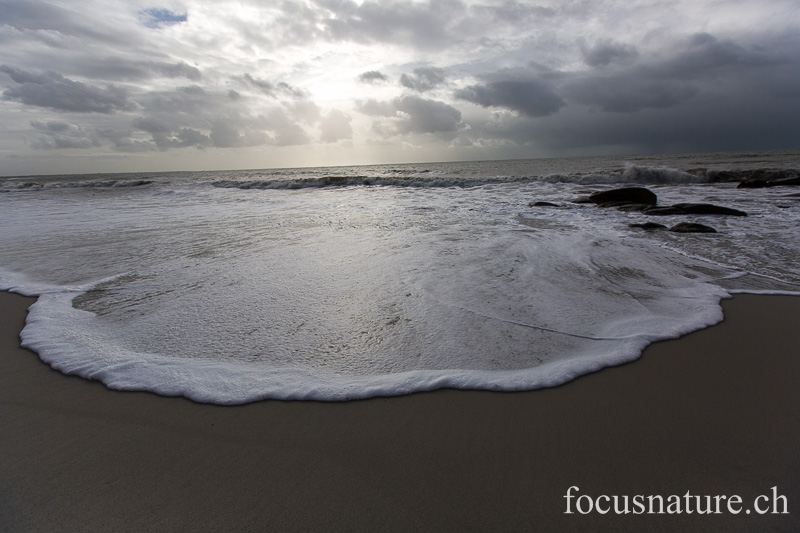 _MG_0956-2.jpg - Après la tempête, jeux de lumière et pétales de vagues, sur la plage de Beg Meil (Finistère, 9.2.2014)
