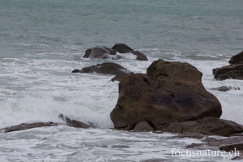 _MG_1904.jpg - Bougon, le bonhomme, après quelques jours de grosse tempête... Lesconil (Finistère, 10.2.2014)