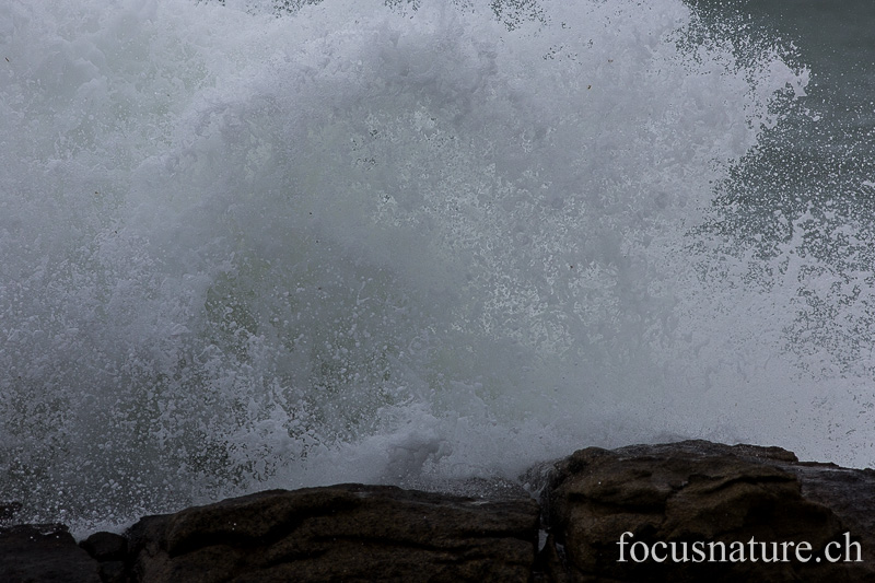 _MG_2015.jpg - Lesconil (Finistère, 10.2.2014)