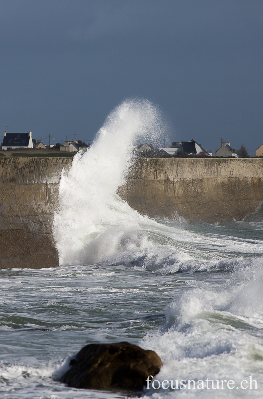 _MG_2081.jpg - Lesconil (Finistère, 10.2.2014)