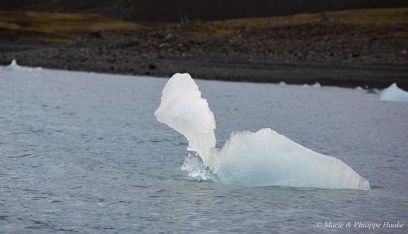 _MG_4558.jpg