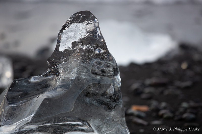 _MG_4664.jpg