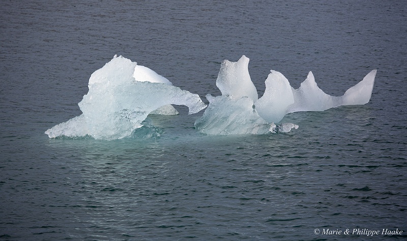_MG_4707.jpg