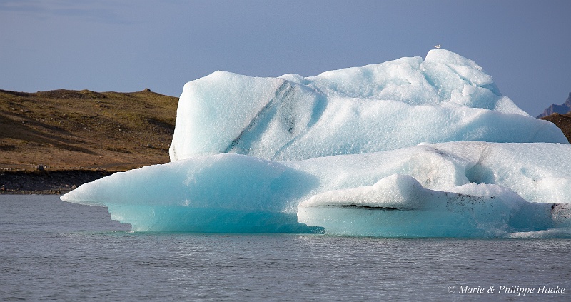 _MG_4739.jpg