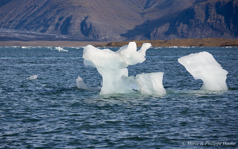 _MG_4741.jpg