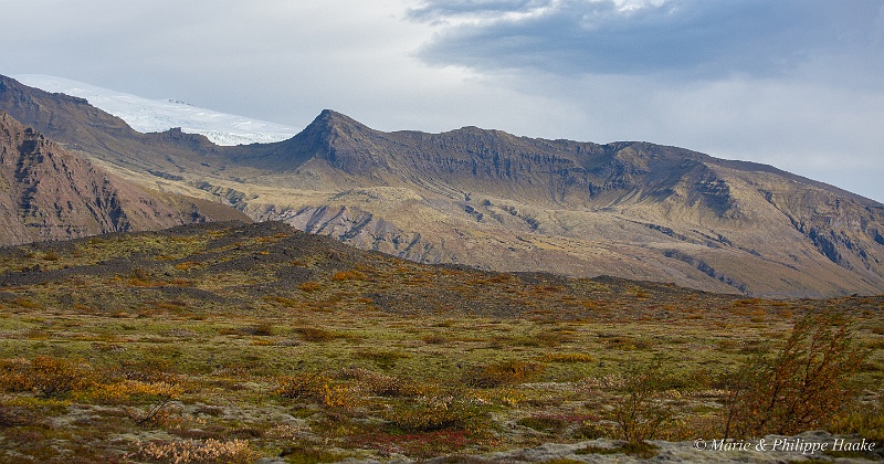 _MG_4842.jpg