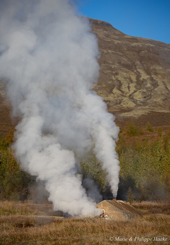 _MG_5195.jpg