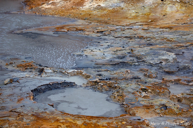 _MG_5268.jpg