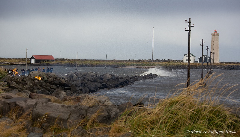 _MG_5351.jpg