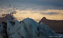 _MG_4458