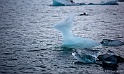 _MG_4497