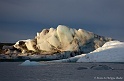 _MG_4515