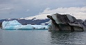 _MG_4593