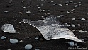 _MG_4678