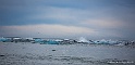 _MG_4684
