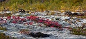_MG_4866