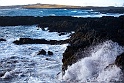 _MG_5658