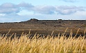 _MG_5743