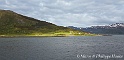 IMG_1817